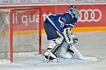 ERC Ingolstadt vs Duesseldorfer EG, Eishockey, DEL, Deutsche Eishockey Liga, Spieltag 19, 18.11.2016