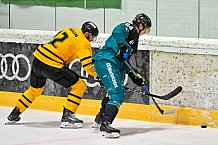 Eishockey, Herren, DEL, Saison 2026-2027, ERC Ingolstadt - HC Verva Litvinov - Steinbach Black Wings Linz, 22.08.2026