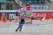 Eishockey, Frauen, DFEL, Saison 2023-2024, ERC Ingolstadt - Amsterdam Tigers, 06.01.2024