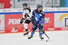 Eishockey, Frauen, DFEL, Saison 2023-2024, ERC Ingolstadt - Amsterdam Tigers, 06.01.2024