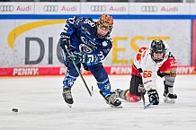 Eishockey, Frauen, DFEL, Saison 2024-2025, ERC Ingolstadt - EC Bergkamener Bären, 05.01.2025