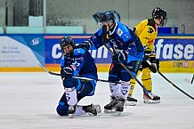 Eishockey, Herren, U20 DNL, Saison 2025-2026, Halbfinale - Spiel 5, ERC Ingolstadt - Krefelder EV 81, 24.03.2026