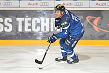 ERC Ingolstadt vs Thomas Sabo Ice Tigers, Eishockey, DEL, Deutsche Eishockey Liga, Spieltag 34, 03.01.2017