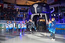 ERC Ingolstadt vs Eisbären Berlin, DEL, Deutsche Eishockey Liga, Spieltag 14, 25.10.2019