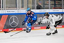 Eishockey, Herren, DEL, Saison 2025-2026, Spiel 16, ERC Ingolstadt - Kölner Haie, 31.10.2025
