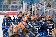 Eishockey, Frauen, DFEL, Saison 2024-2025, ERC Ingolstadt - Mad Dogs Mannheim, 23.11.2024