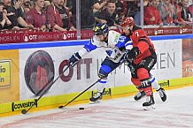 Koelner Haie vs ERC Ingolstadt, DEL, Deutsche Eishockey Liga, Playoffs, Viertelfinale, Spiel 7, 31.03.2019