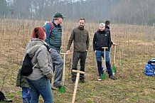 Eishockey, Herren, DEL, Saison 2023-2024, ERC Ingolstadt - Baumpflanzaktion, 02.03.2024