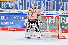 Eishockey, Herren, DEL, Saison 2024-2025, Playoffs Viertelfinale, Spiel 1, ERC Ingolstadt - Nürnberg Ice Tigers, 16.03.2025