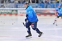 Eishockey, Herren, DEL, Saison 2024-2025, Spieltag 15, ERC Ingolstadt - Augsburger Panther, 03.11.2024
