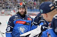 Eishockey, Herren, DEL, Saison 2023-2024, Spieltag 46, ERC Ingolstadt - Düsseldorfer EG, 15.02.2024