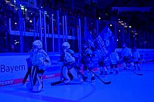 Eishockey, Herren, DEL, Saison 2025-2026, Spiel 10, ERC Ingolstadt - Löwen Frankfurt, 12.10.2025