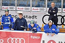 ERC Ingolstadt vs Duesseldorfer EG, Eishockey, DEL, Deutsche Eishockey Liga, Spieltag 22, 19.11.2017