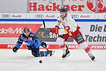 Eishockey, Herren, DEL, Saison 2023-2024, Spieltag 46, ERC Ingolstadt - Düsseldorfer EG, 15.02.2024