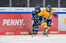 Eishockey, Frauen, DFEL, Saison 2025-2026, Testspiel, ERC Ingolstadt - HC Davos, 14.02.2026