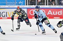 Eishockey, Herren, DEL, Saison 2023-2024, Spieltag 30, ERC Ingolstadt - Straubing Tigers, 23.12.2023