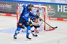 Eishockey, Herren, DEL, Saison 2025-2026, Spiel 31, ERC Ingolstadt - EHC Red Bull München, 23.12.2025