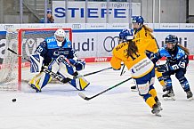 Eishockey, Frauen, DFEL, Saison 2025-2026, Testspiel, ERC Ingolstadt - HC Davos, 14.02.2026