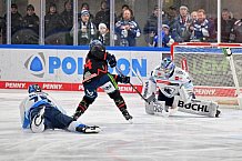 Eishockey, Herren, DEL, Saison 2024-2025, Spieltag 39, Straubing Tigers - ERC Ingolstadt, 24.01.2025