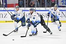 Thomas Sabo Ice Tigers vs ERC Ingolstadt, DEL, Deutsche Eishockey Liga, Spieltag 35, 05.01.2020