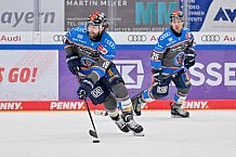 Eishockey, Herren, DEL, Saison 2023-2024, Spieltag 38, ERC Ingolstadt - Adler Mannheim, 14.01.2024