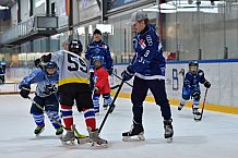 Eishockey, Herren, DEL, Saison 2021-2022, ERC Ingolstadt - Kids on Eis Day, 06.11.2021