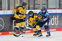 Eishockey, Frauen, DFEL, Saison 2025-2026, Spieltag 3, ERC Ingolstadt - Mad Dogs Mannheim, 27.09.2025
