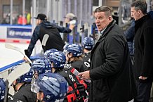 Eishockey, Herren, DEL, Saison 2024-2025, Spieltag 39, Straubing Tigers - ERC Ingolstadt, 24.01.2025