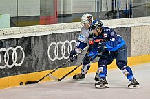 Eishockey, Herren, DEL, Saison 2024-2025, ERC Ingolstadt - Iserlohn Roosters, 23.08.2024