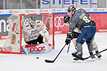 Eishockey, Herren, DEL, Saison 2023-2024, Spieltag 51, ERC Ingolstadt - Kölner Haie, 03.03.2024