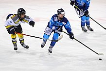 Eishockey, Frauen, DFEL, Saison 2020-2021, ERC Ingolstadt - Mad Dogs Mannheim, 30.01.2021