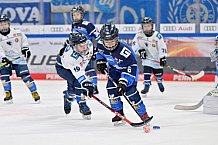 Eishockey, Herren, DEL, Saison 2024-2025, Spieltag 26, ERC Ingolstadt - Iserlohn Roosters, 15.12.2024