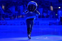 Eishockey, Herren, DEL, Saison 2024-2025, Spieltag 36, ERC Ingolstadt - Kölner Haie, 12.01.2025