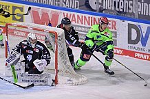 Eishockey, Herren, DEL, Saison 2020-2021, Straubing Tigers - ERC Ingolstadt, 31.01.2021