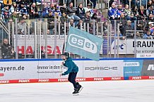 Eishockey, Herren, DEL, Saison 2023-2024, Spieltag 52, ERC Ingolstadt - Nürnberg Ice Tigers, 08.03.2024
