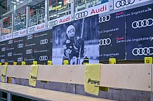 Eishockey, Herren, DEL, Saison 2024-2025, Spieltag 42, ERC Ingolstadt - Kölner Haie, 31.01.2025