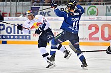 ERC Ingolstadt vs EHC Red Bull Muenchen, Eishockey, DEL, Deutsche Eishockey Liga, Spieltag 47, 12.02.2017