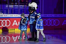 ERC Ingolstadt vs Krefeld Pinguine, DEL, Deutsche Eishockey Liga, Spieltag 39, 19.01.2020
