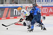 Eishockey, Herren, DEL, Saison 2023-2024, Playoffs Viertelfinale - Spiel 4, ERC Ingolstadt - Fischtown Pinguins , 24.03.2024