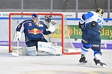 EHC Red Bull Muenchen vs ERC Ingolstadt, Eishockey, DEL, Deutsche Eishockey Liga, Spieltag 50, 24.02.2019