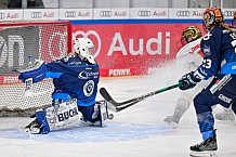Eishockey, Frauen, DFEL, Saison 2024-2025, ERC Ingolstadt - EC Bergkamener Bären, 05.01.2025
