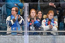 Eishockey, Herren, DEL, Saison 2024-2025, Spieltag 42, ERC Ingolstadt - Kölner Haie, 31.01.2025