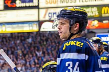 ERC Ingolstadt vs Thomas Sabo Ice Tigers, Eishockey, DEL, Deutsche Eishockey Liga, Spieltag 34,  03.01.2017
