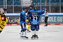 Eishockey, Herren, U20 DNL, Saison 2025-2026, ERC Ingolstadt - Krefeld Pinguine, 10.01.2026