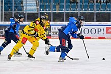 Eishockey, U20, DNL, Saison 2024-2025, ERC Ingolstadt - Krefelder EV 81, 01.03.2025