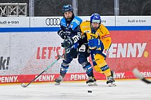 Eishockey, Frauen, DFEL, Saison 2025-2026, Testspiel, ERC Ingolstadt - HC Davos, 14.02.2026