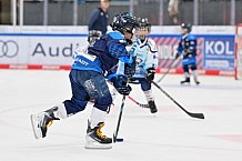 Eishockey, Herren, DEL, Saison 2026-2027, Spieltag 2, ERC Ingolstadt - Nürnberg Ice Tigers, 20.09.2026