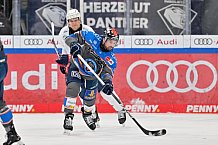 Eishockey, Herren, DEL, Saison 2023-2024, Spieltag 38, ERC Ingolstadt - Adler Mannheim, 14.01.2024