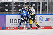 Eishockey, Frauen, DFEL, Saison 2023-2024, ERC Ingolstadt - Mad Dogs Mannheim, 18.02.2024