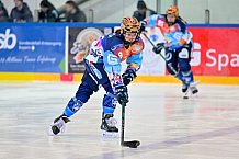 Eishockey, Frauen, DFEL, Saison 2024-2025, ERC Ingolstadt - HK Budapest Roster, 12.01.2025